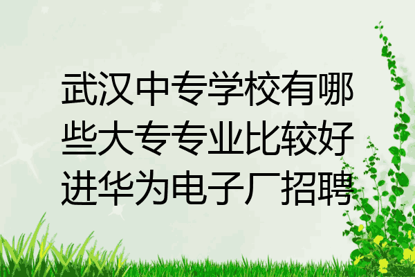 武汉中专学校有哪些大专专业比较好进华为电子厂招聘