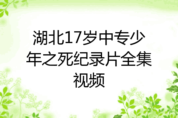 湖北17岁中专少年之死纪录片全集视频