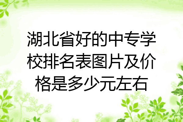 湖北省好的中专学校排名表图片及价格是多少元左右