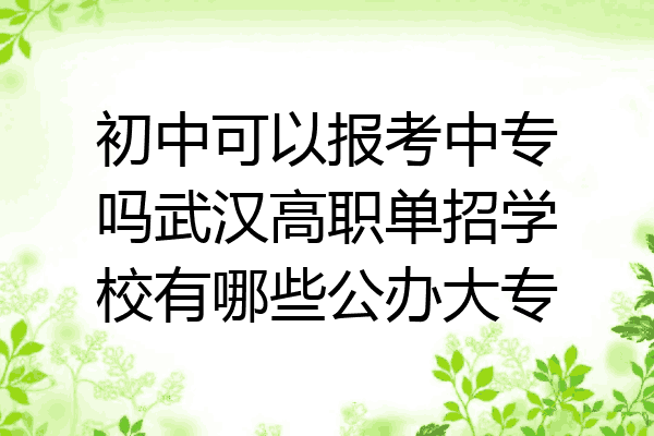 初中可以报考中专吗武汉高职单招学校有哪些公办大专
