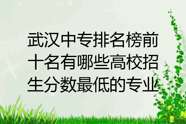武汉中专排名榜前十名有哪些高校招生分数最低的专业