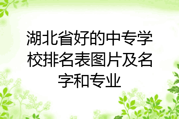 湖北省好的中专学校排名表图片及名字和专业