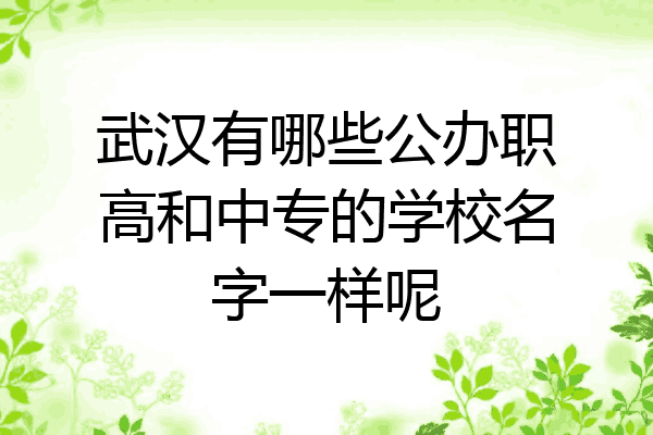 武汉有哪些公办职高和中专的学校名字一样呢