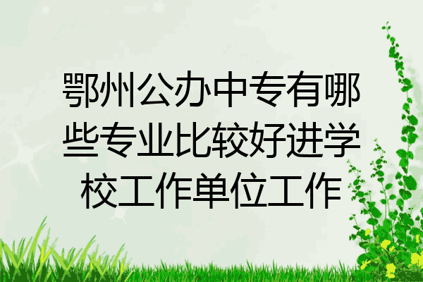 鄂州公办中专有哪些专业比较好进学校工作单位工作
