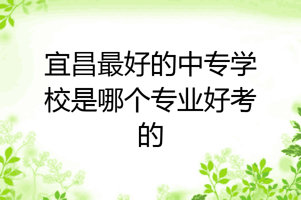 宜昌最好的中专学校是哪个专业好考的