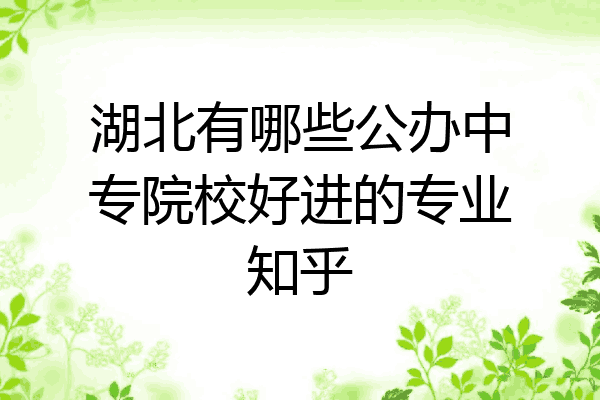 湖北有哪些公办中专院校好进的专业知乎