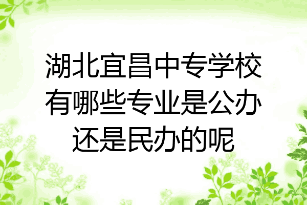 湖北宜昌中专学校有哪些专业是公办还是民办的呢