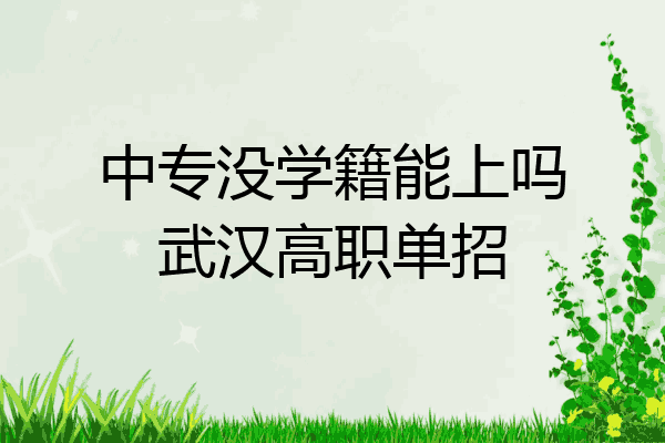 中专没学籍能上吗武汉高职单招