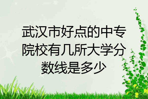 武汉市好点的中专院校有几所大学分数线是多少