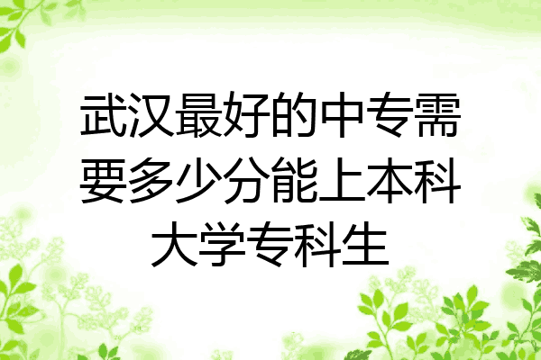 武汉最好的中专需要多少分能上本科大学专科生