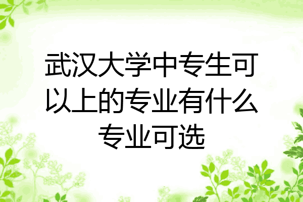 武汉大学中专生可以上的专业有什么专业可选