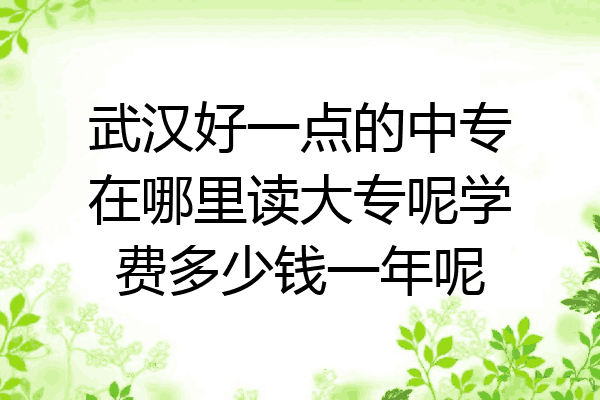 武汉好一点的中专在哪里读大专呢学费多少钱一年呢