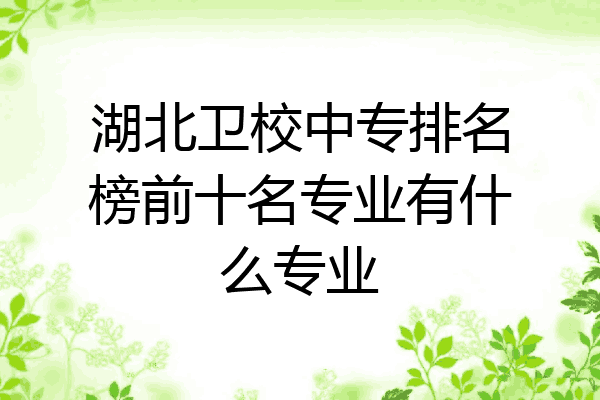 湖北卫校中专排名榜前十名专业有什么专业