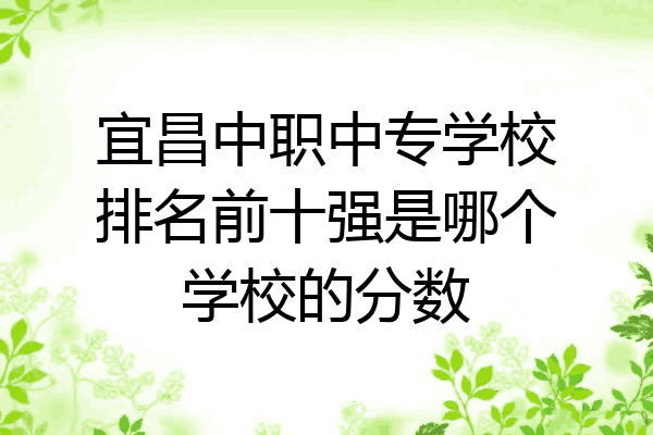 宜昌中职中专学校排名前十强是哪个学校的分数