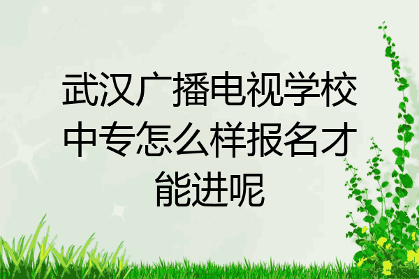 武汉广播电视学校中专怎么样报名才能进呢