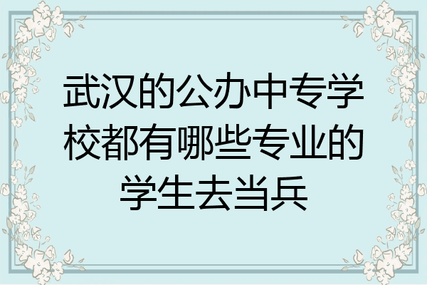 武汉的公办中专学校都有哪些专业的学生去当兵