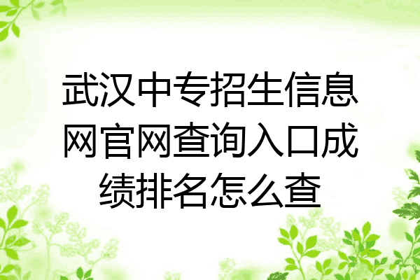 武汉中专招生信息网官网查询入口成绩排名怎么查