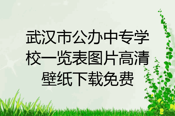 武汉市公办中专学校一览表图片高清壁纸下载免费