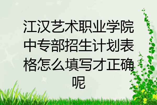 江汉艺术职业学院中专部招生计划表格怎么填写才正确呢