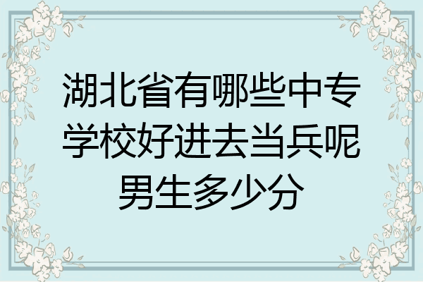 湖北省有哪些中专学校好进去当兵呢男生多少分