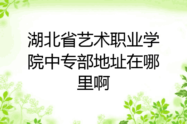 湖北省艺术职业学院中专部地址在哪里啊
