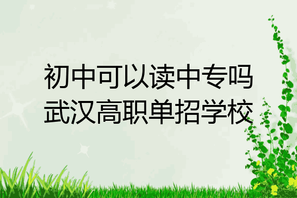初中可以读中专吗武汉高职单招学校