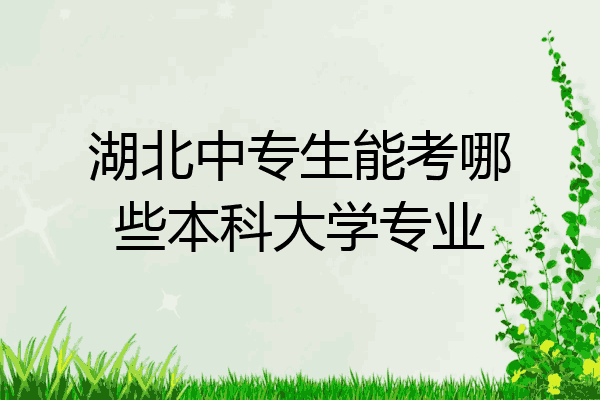 湖北中专生能考哪些本科大学专业