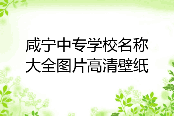 咸宁中专学校名称大全图片高清壁纸