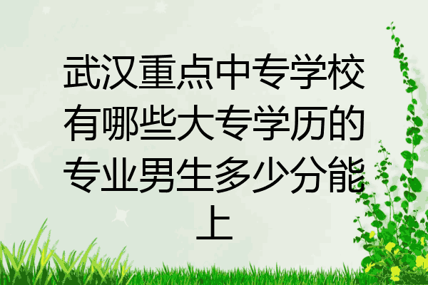 武汉重点中专学校有哪些大专学历的专业男生多少分能上