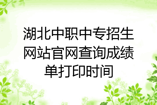 湖北中职中专招生网站官网查询成绩单打印时间