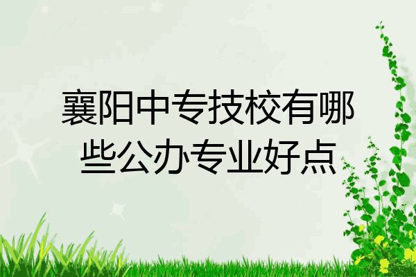 襄阳中专技校有哪些公办专业好点