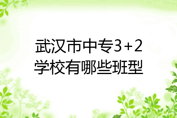 武汉市中专3+2学校有哪些班型