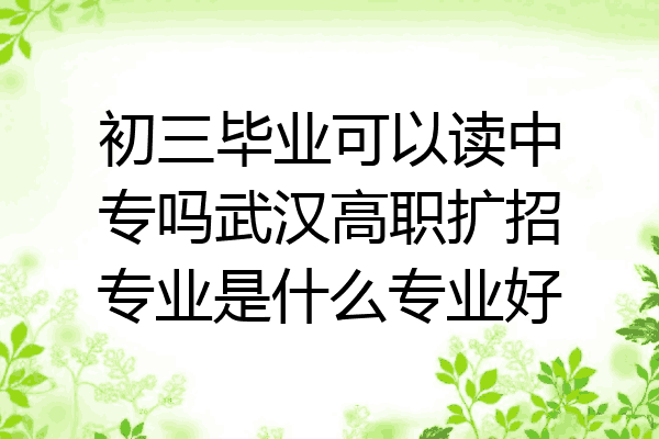 初三毕业可以读中专吗武汉高职扩招专业是什么专业好