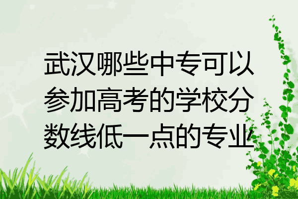 武汉哪些中专可以参加高考的学校分数线低一点的专业