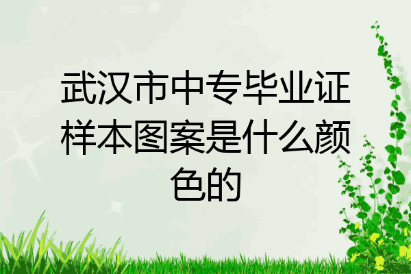 武汉市中专毕业证样本图案是什么颜色的