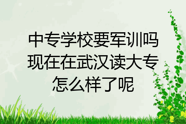 中专学校要军训吗现在在武汉读大专怎么样了呢