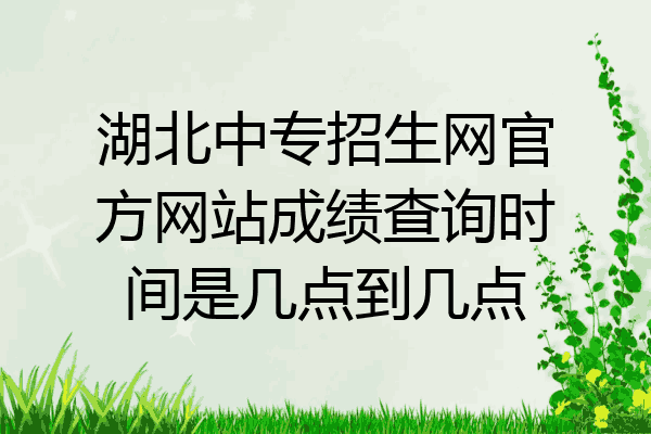 湖北中专招生网官方网站成绩查询时间是几点到几点