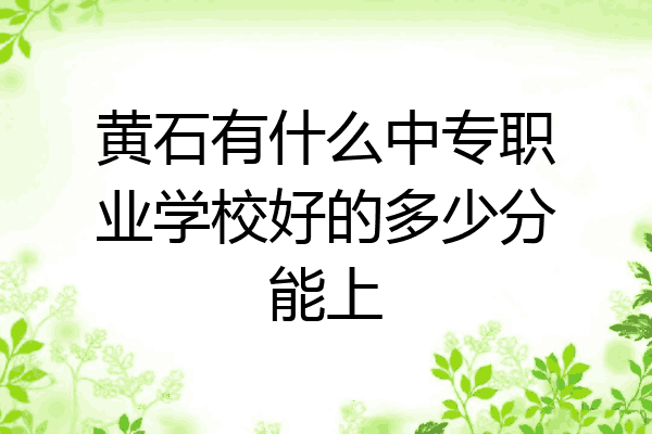 黄石有什么中专职业学校好的多少分能上