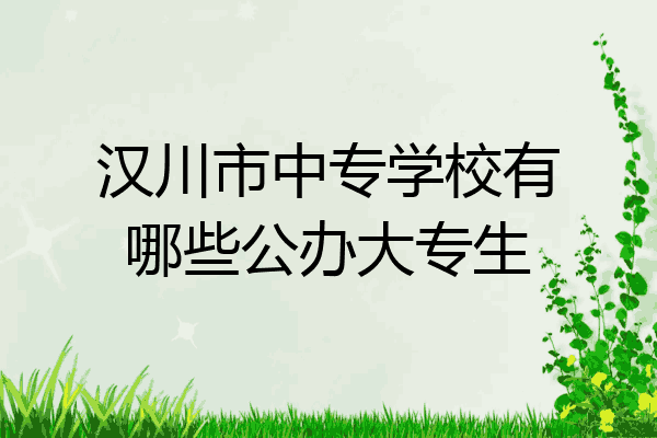 汉川市中专学校有哪些公办大专生