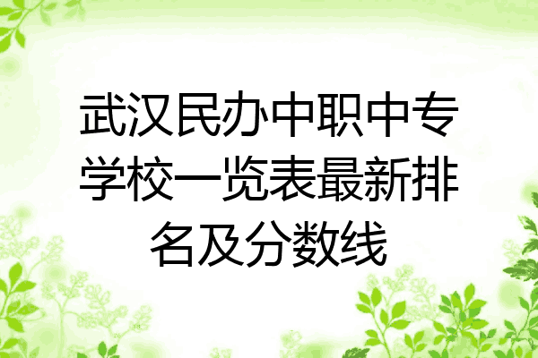 武汉民办中职中专学校一览表最新排名及分数线