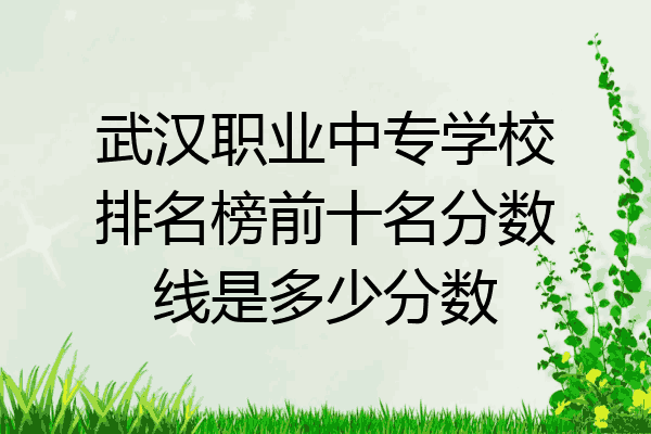 武汉职业中专学校排名榜前十名分数线是多少分数