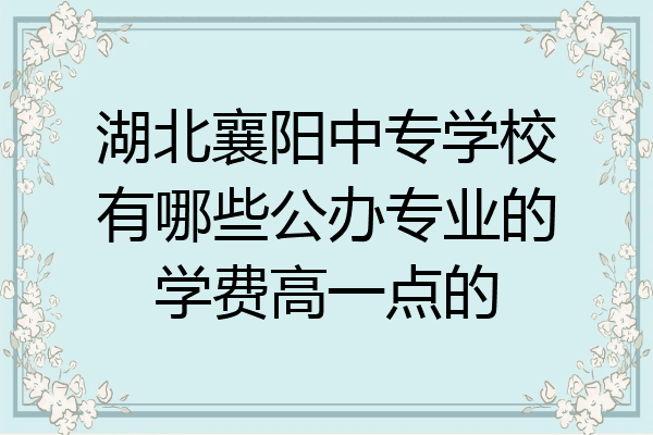 湖北襄阳中专学校有哪些公办专业的学费高一点的