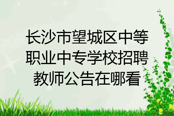 长沙市望城区中等职业中专学校招聘教师公告在哪看