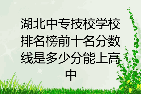 湖北中专技校学校排名榜前十名分数线是多少分能上高中