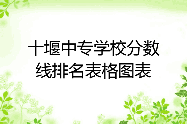 十堰中专学校分数线排名表格图表