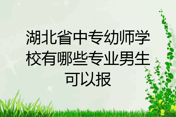 湖北省中专幼师学校有哪些专业男生可以报