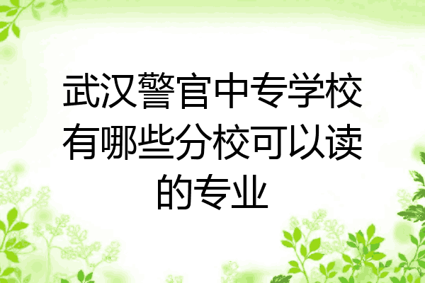 武汉警官中专学校有哪些分校可以读的专业