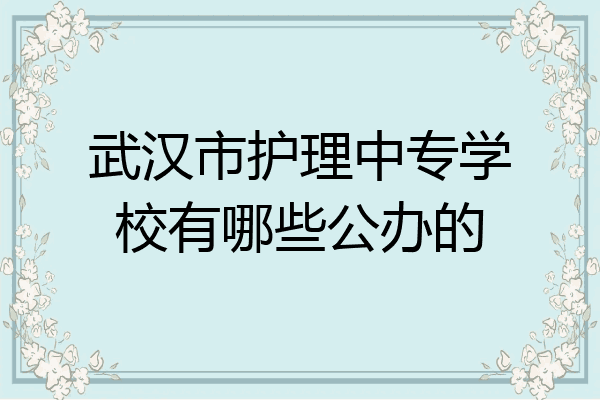 武汉市护理中专学校有哪些公办的