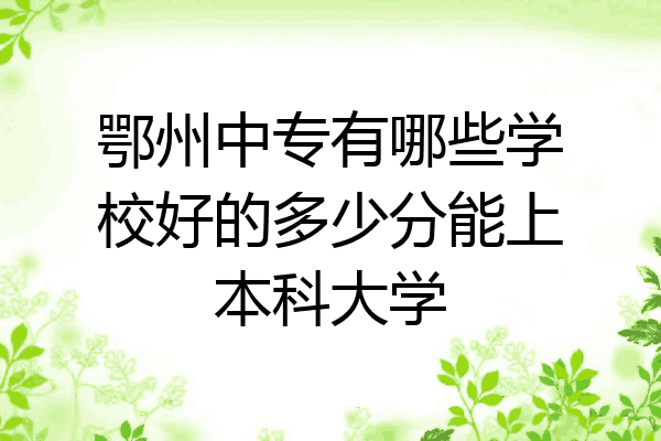 鄂州中专有哪些学校好的多少分能上本科大学