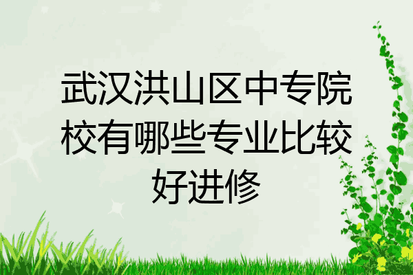 武汉洪山区中专院校有哪些专业比较好进修